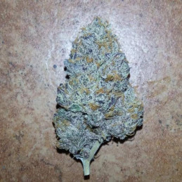 Purple Russian Express