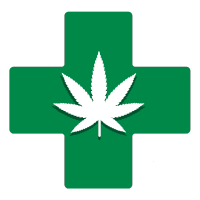 Medizinische Cannabis Samen