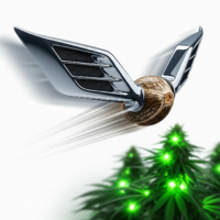 Fast Version Cannabissamen (halbautomatisch)