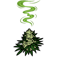 Geruchsarme Cannabissorten