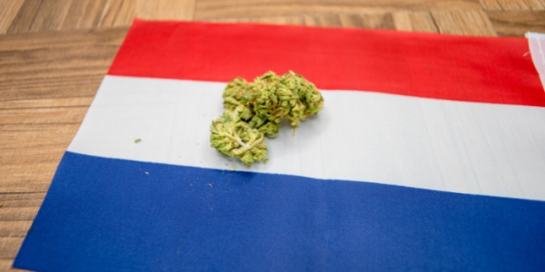 Welche sind die Preise für Cannabis in den Niederlanden